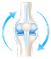 Bone Strength